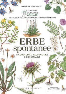 Wateki Taliana Tolbert, Filippo Bellantoni, Francesca Della Giovampaola - Erbe spontanee (2025)